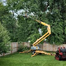 Best Commercial Tree Services  in Hamilton, TX